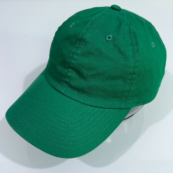 챔피온 어센틱 볼캡 모자 1405